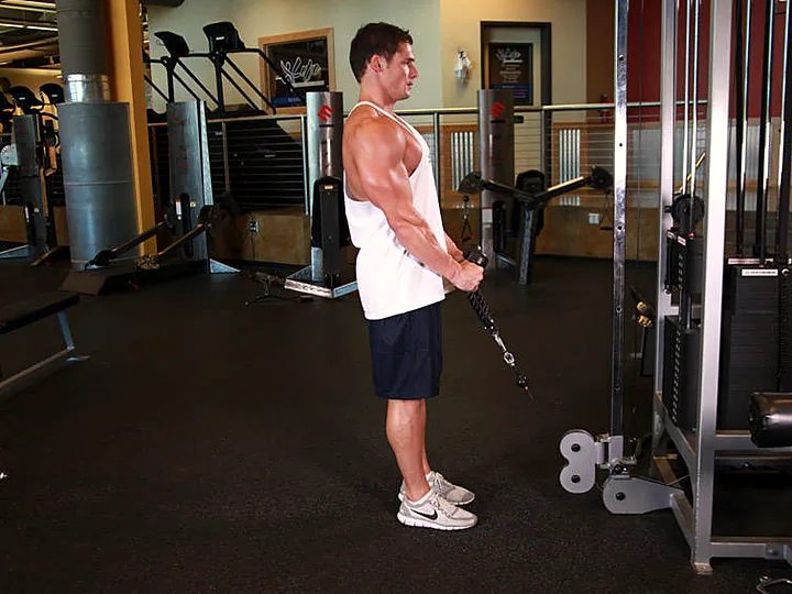 Cable Rope Hammer Curl: starting position