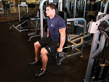 Machine Dips