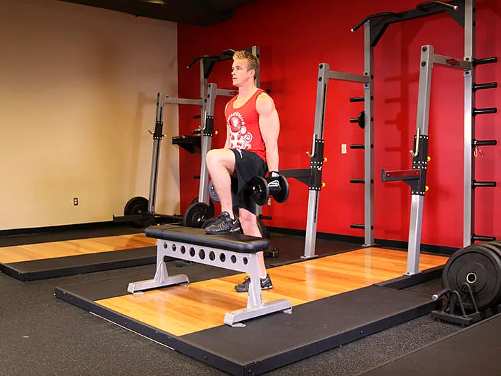 Dumbbell Step-Ups
