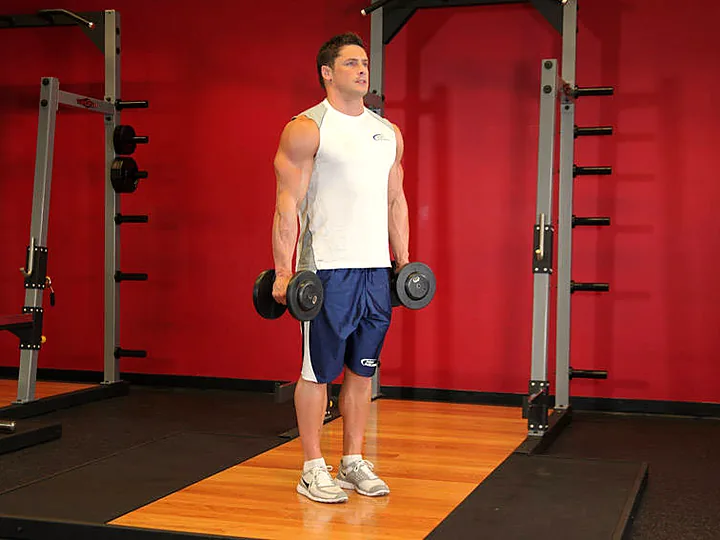Hammer Curl: starting position