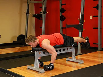 Lying Rear Delt Raise