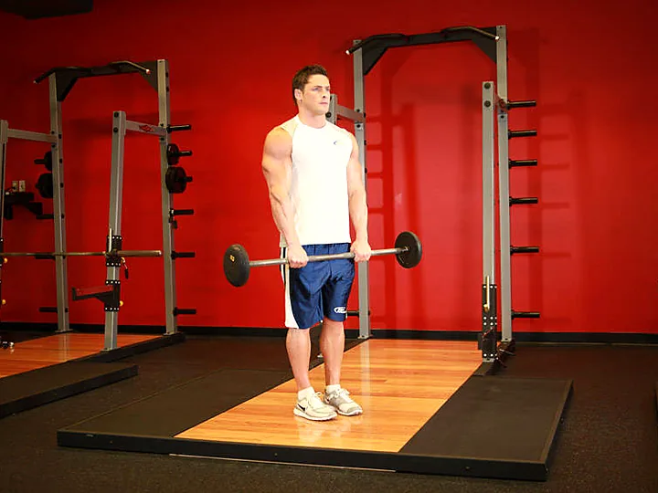 Reverse-Grip Barbell Curl: starting position